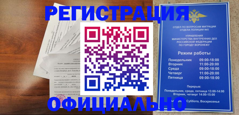 прописка поиск в Сальске